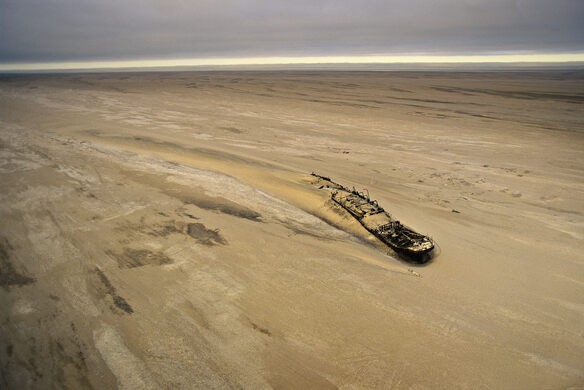 # Namibia's Skeleton Coast: A Marine Biologist's S...