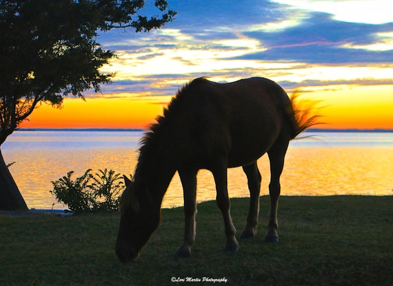 Assateague Island Sunset