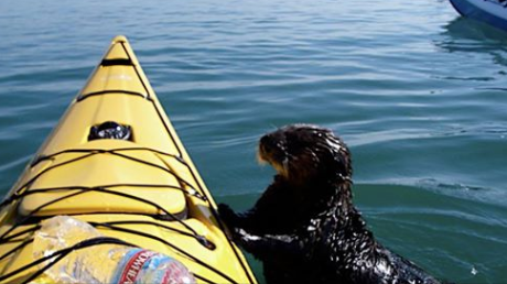 Vineyards at Bernardus Winery in Carmel Valley
