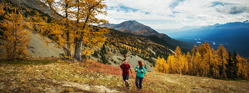 # Banff in October: A Solo Journey of Golden Larch...