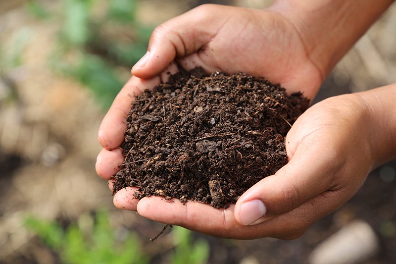 Autumn Abundance: 5 Simple Steps to Prepare You...