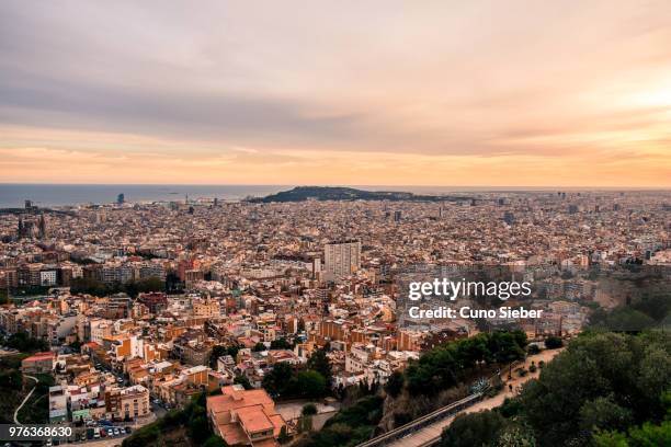 Barceloneta Beach Cleanup