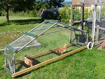 Wheels attached to the base of a chicken tractor