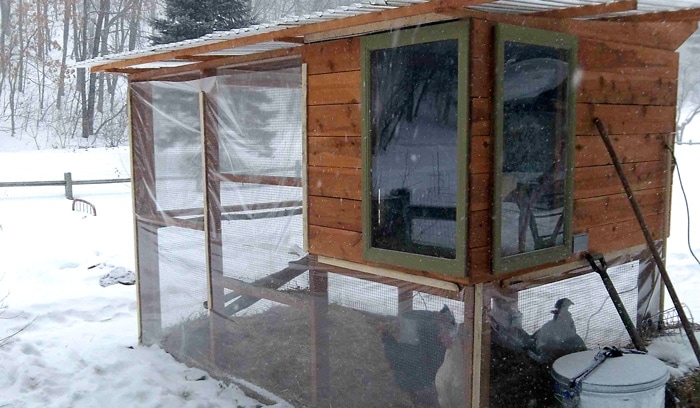 A wide shot of a beautiful backyard with a chicken coop, garden, and happy chickens roaming freely, embodying the spirit of self-sufficiency and sustainable homesteading.