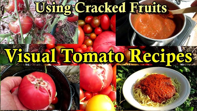 Preserved Tomato Sauce in Jars