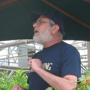 Selection of native, pollinator-friendly flowering shrubs in a nursery setting
