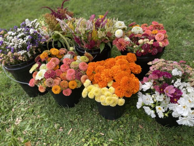 Homestead Blooms: Bringing the Beauty of Your Ga...