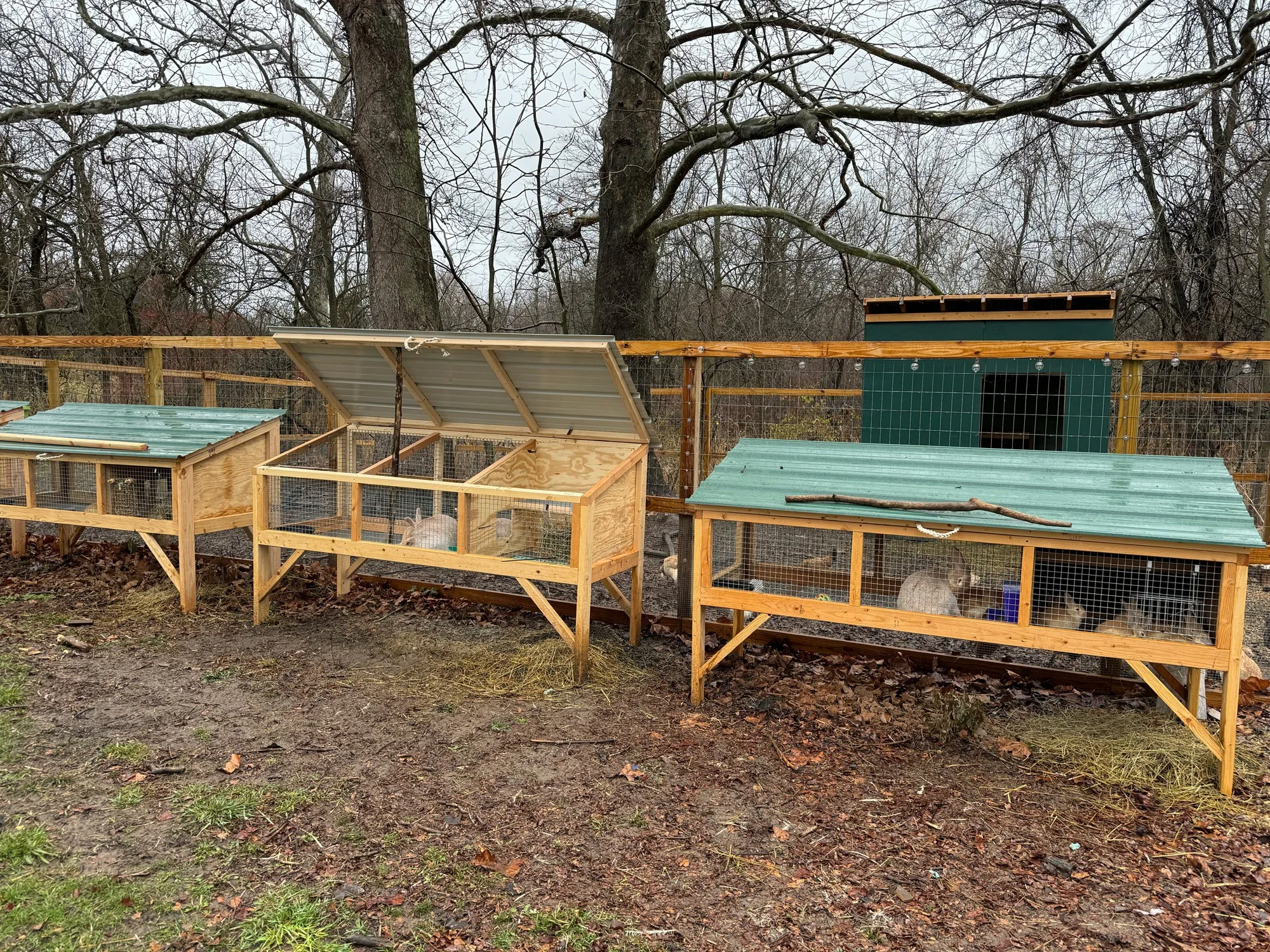 refurbished rabbit hutch repurposed wood