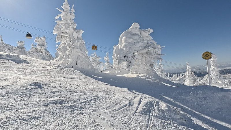 # Hokkaido's Winter Whispers: Thrills, Tradition,...