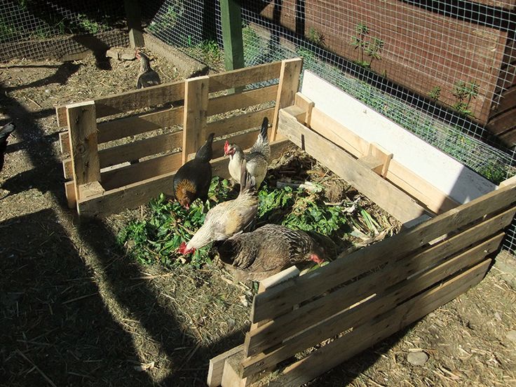 Exterior of the chicken coop showing screened vents near the roofline and adjustable openings near the floor, demonstrating proper ventilation techniques.