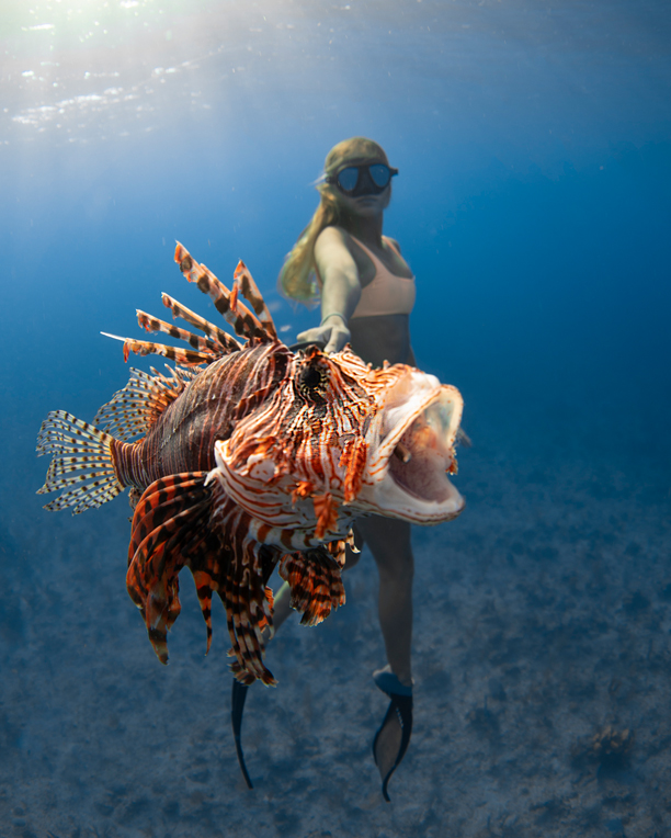 Freediver hunting lionfish on a vibrant coral reef in the Cayman Islands
