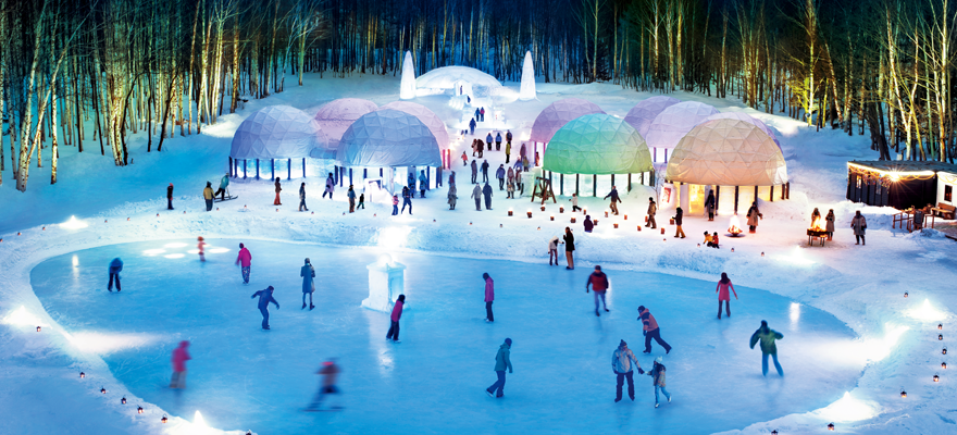 A photograph of a small group snowshoeing through the park, with a guide pointing out features of the landscape.