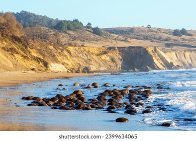 Bowling Ball Beach Photography