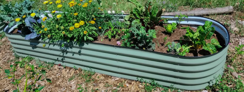 Permaculture Made Easy: Transforming Your Small...