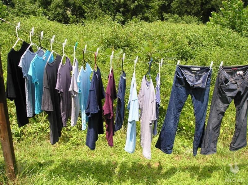Clean Linen on Clothesline