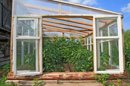 Harness the Sun: DIY Passive Solar Greenhouse from...