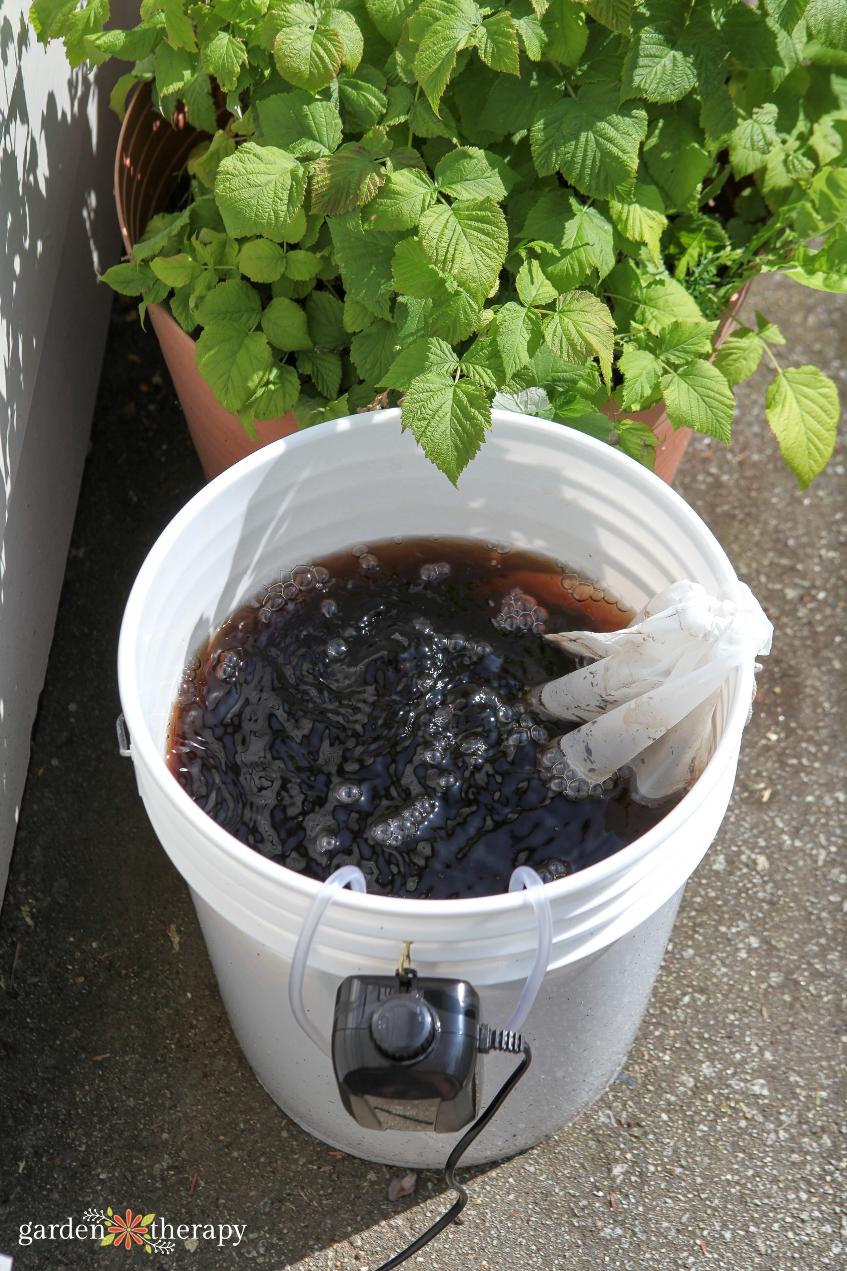 close-up shot of compost tea brewing in a bucket, bubbles visible