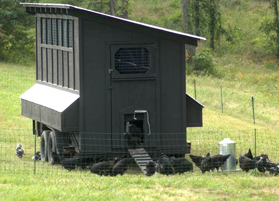 Rolling Roost: Building a Mobile Chicken Coop fo...