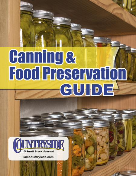 A collection of canned goods on shelves