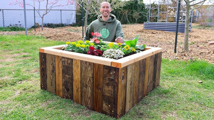 Build a Thriving Raised Garden Bed with Reclaim...