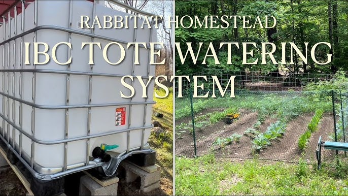 Rain water collection system