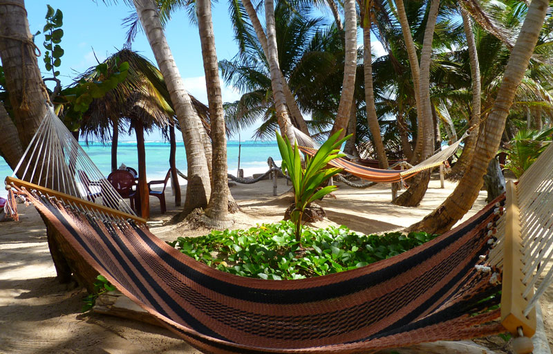 # Disconnect to Reconnect: My Little Corn Island D...