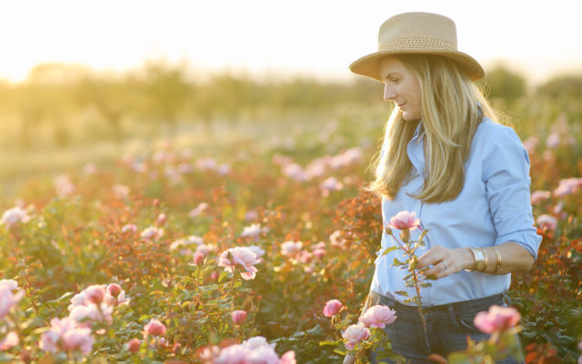 Wildflower Wonderland: Turning Your Yard into a...