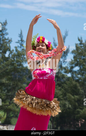Cinematic 4K footage shot on a RED camera, showcasing the interplay of sunlight and shadows on the whale's skin.
