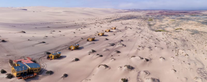 Desert adapted elephants in the Hoanib Riverbed