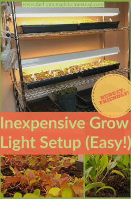 A close-up of a shop light hanging from the seed starting shelf frame, connected to a power strip and timer.