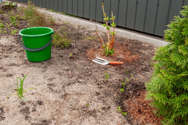 Maintaining Your Compost