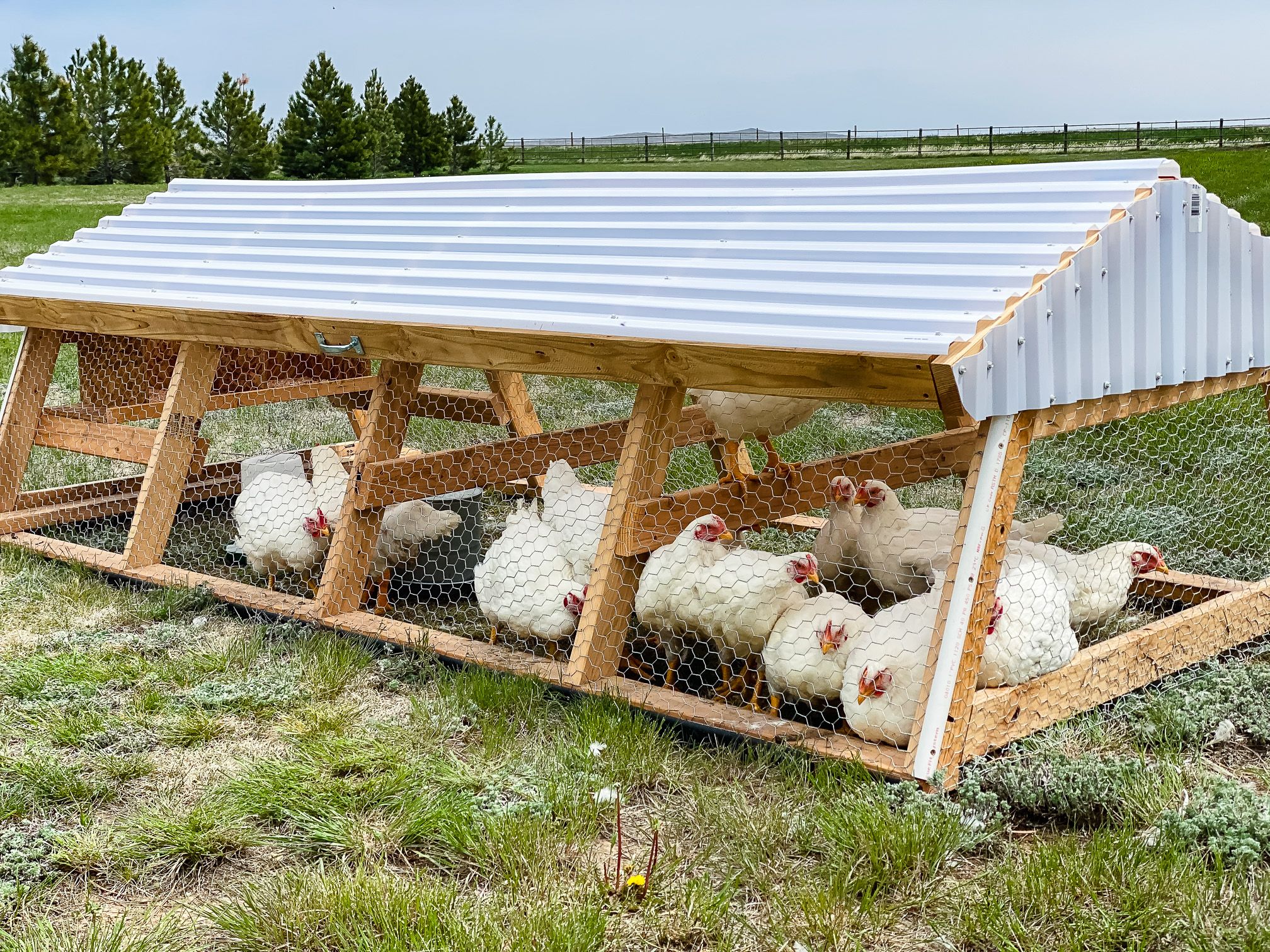 hand drawn chicken tractor design blueprints