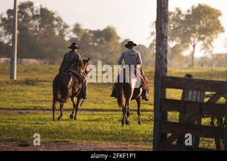 Two Pantaneiro cowboys ride horses through the flooded grasslands.