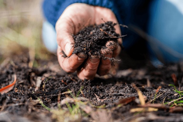 Layering materials in compost pile