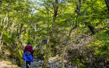Kayaking on Grey Lake with the glacier in the background