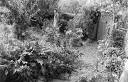 PERMACULTURE DESIGN landscape drawing key areas