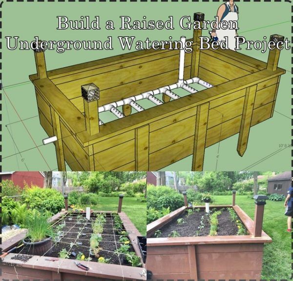 Finished raised garden bed with thriving plants