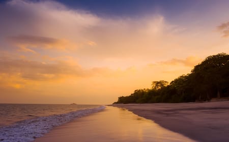 A close-up shot of feet walking on the white sand with the turquoise water lapping at the shore, with lush green foliage visible in the background. Another image of a person practicing yoga on the beach at sunrise.