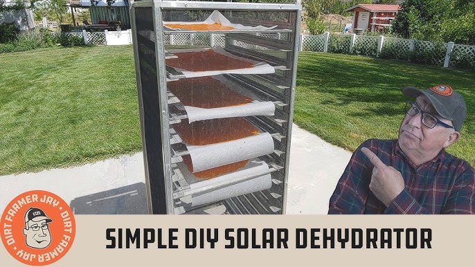 A solar food dehydrator with shelves full of drying food