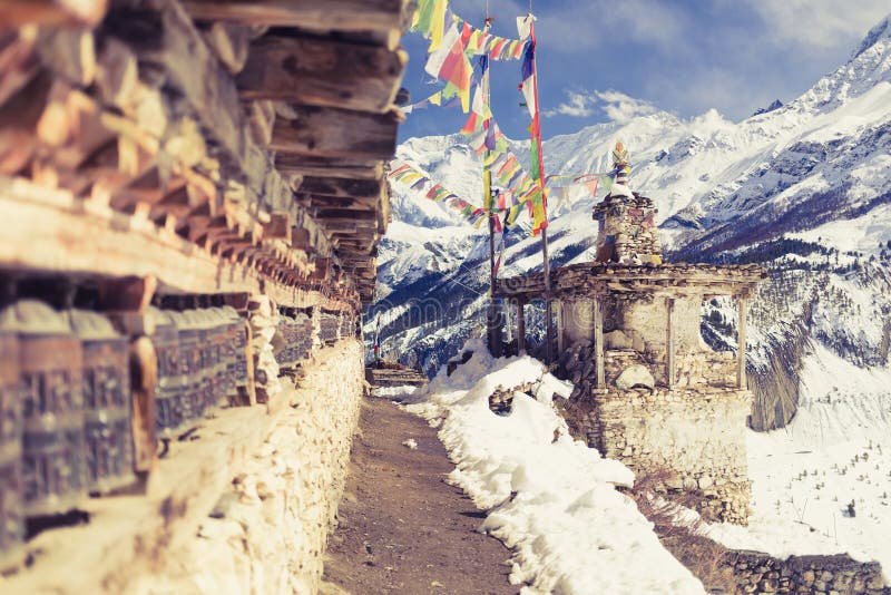 A trekker filling a reusable water bottle from a mountain stream, surrounded by lush green vegetation