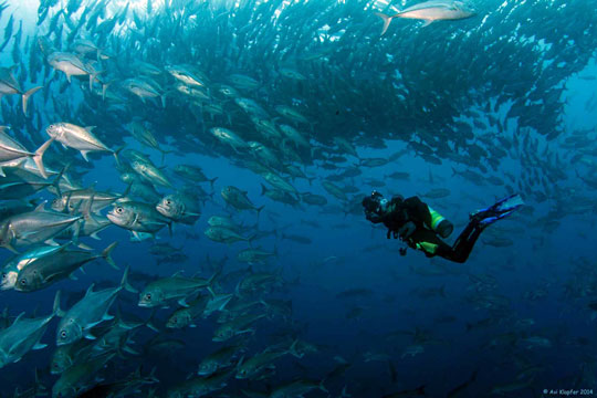 Cocso Island, Costa Rica