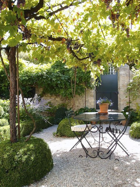 Fall Harvest outdoors.