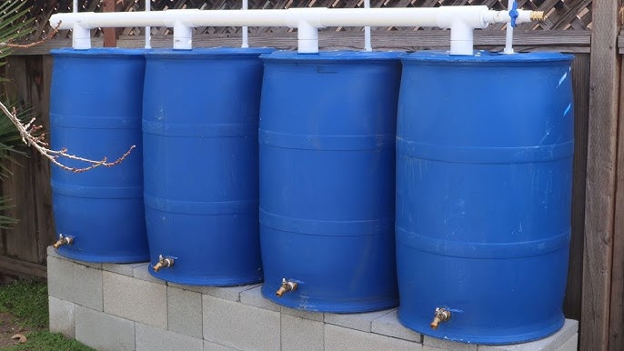 Multiple rain barrel connection system
