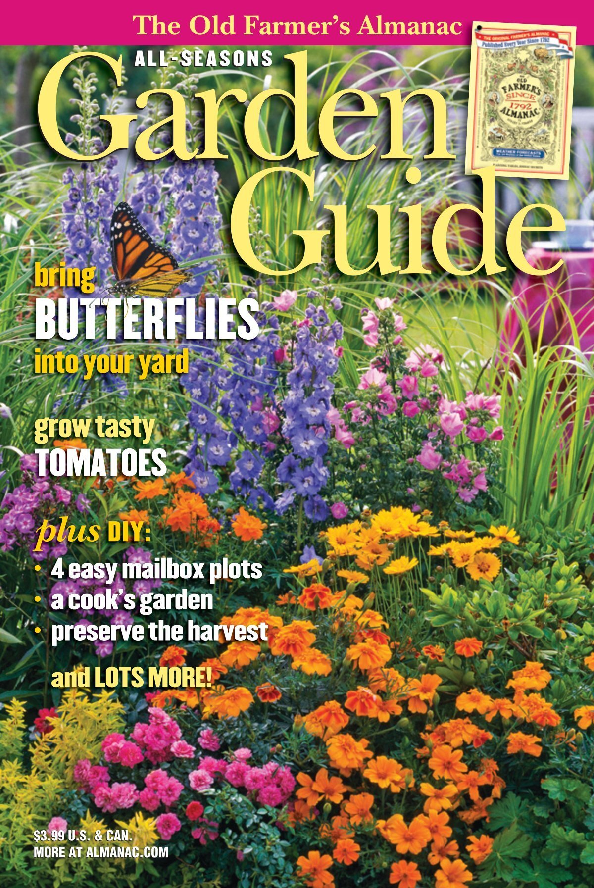 Creating a Cozy Kitchen Garden: Grow Herbs Indo...