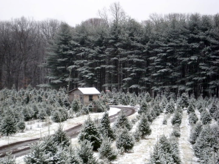 Dig Deeper, Grow Stronger: Regenerative Farming...