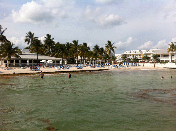 # Literary Shores: Beaches That Inspired Great Wri...