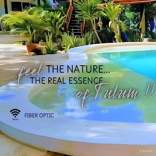## Azure Dreams: My Unforgettable Escape to Tulum'...