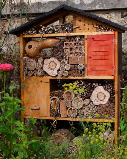 colorful flower garden bees hummingbirds butterflies