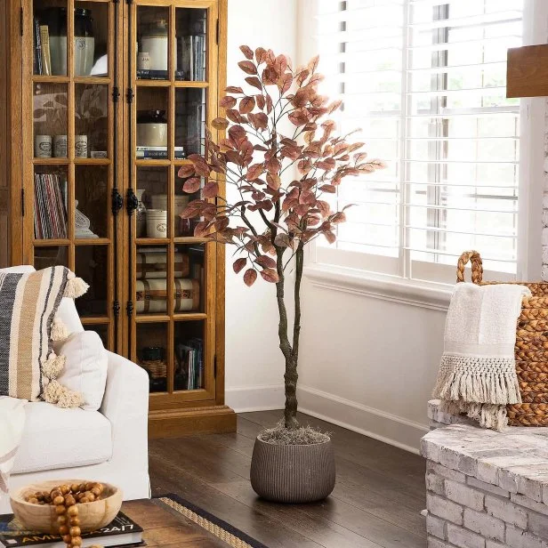 Capture the Essence of Autumn: Styling a Cozy Fa...