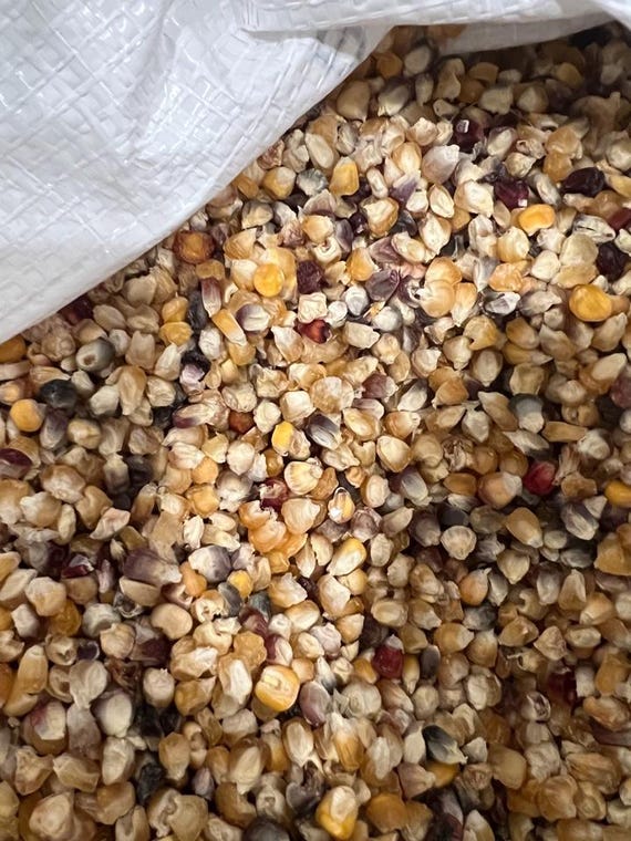 Homemade spiced apple butter being blended.